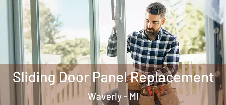  Sliding Door Panel Replacement Waverly - MI